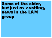 Text Box: Some of the older, but just as exciting, news in the LAM group